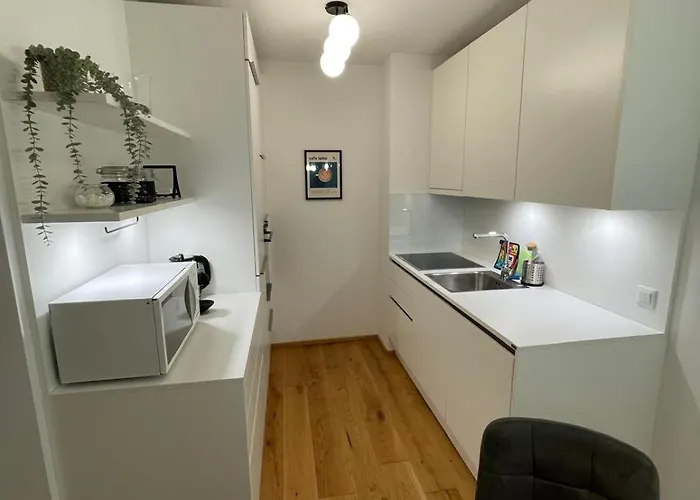 Ruhiges Wiener Townhouse Mit Terrasse Und Kueche Vienna